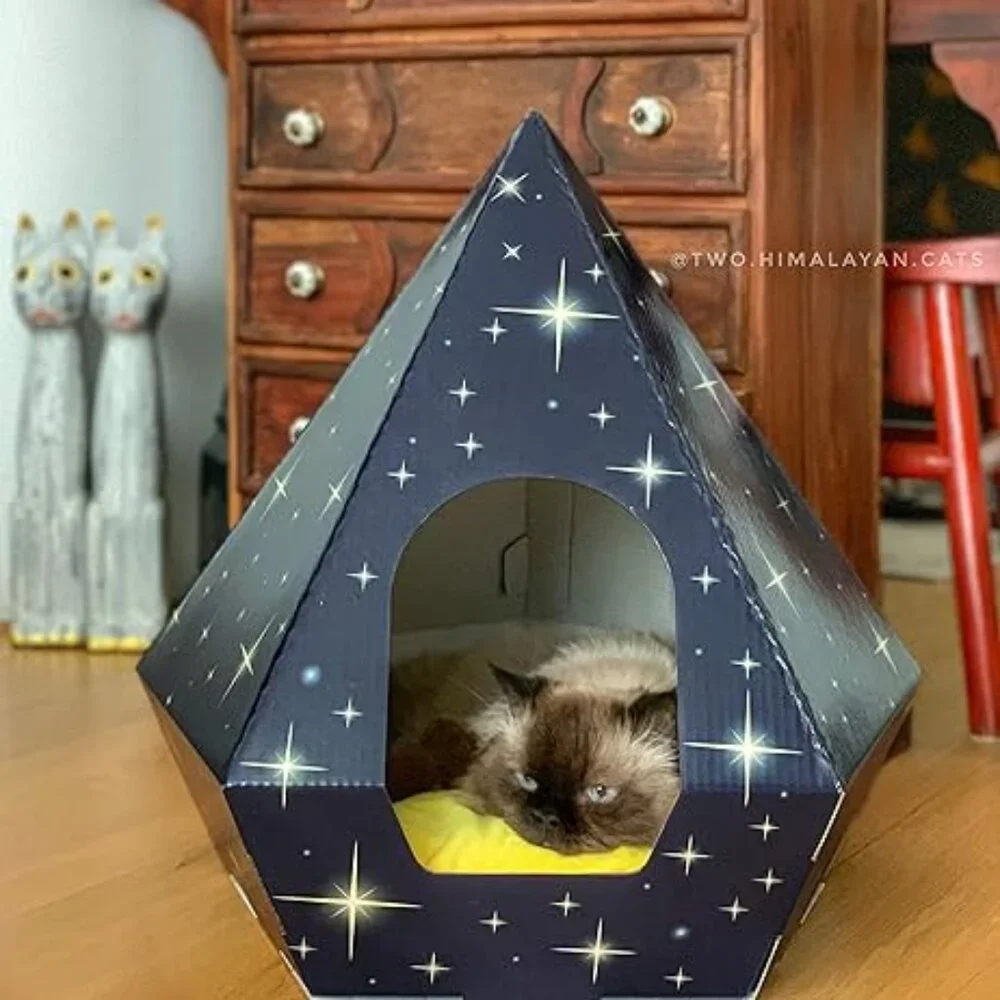 Cat Teepee Bed – Indoor Pet Tent House for Cats, Kittens & Small Dogs 🏕️🐾